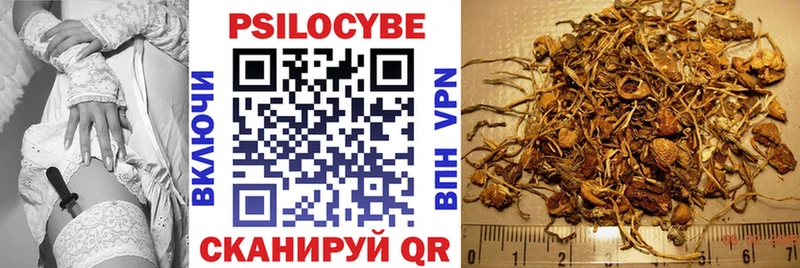 Галлюциногенные грибы MAGIC MUSHROOMS  Купить  Оса 